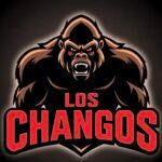 AFH Los Changos
