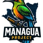 Managua Project VCL